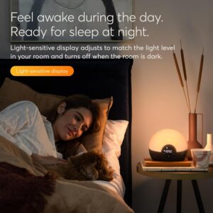 relaxation diffuser ASAKUKI 500ml ultrasonic aromatherapy diffuser